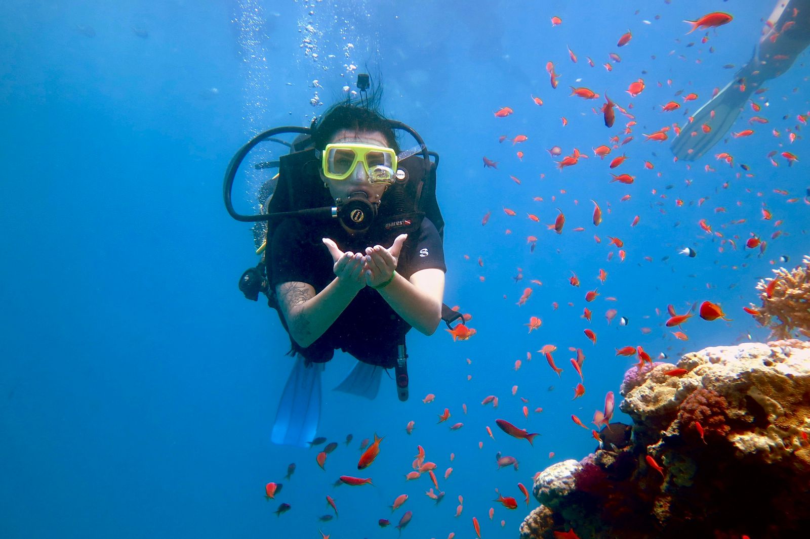 The Best Spots for Scuba Diving in Egypt's Red Sea
