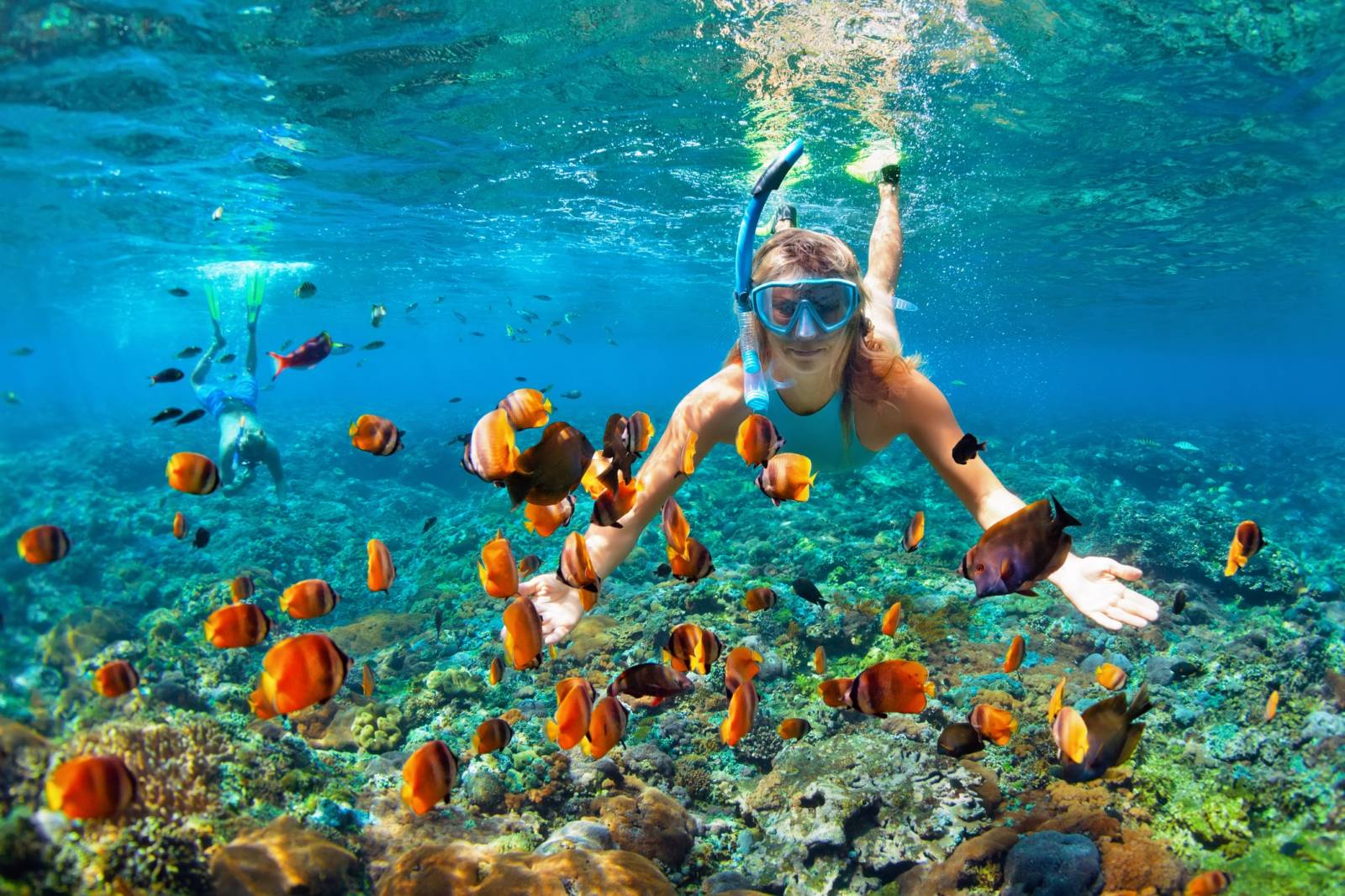 A Complete Guide to Snorkeling in Hurghada and the Red Sea