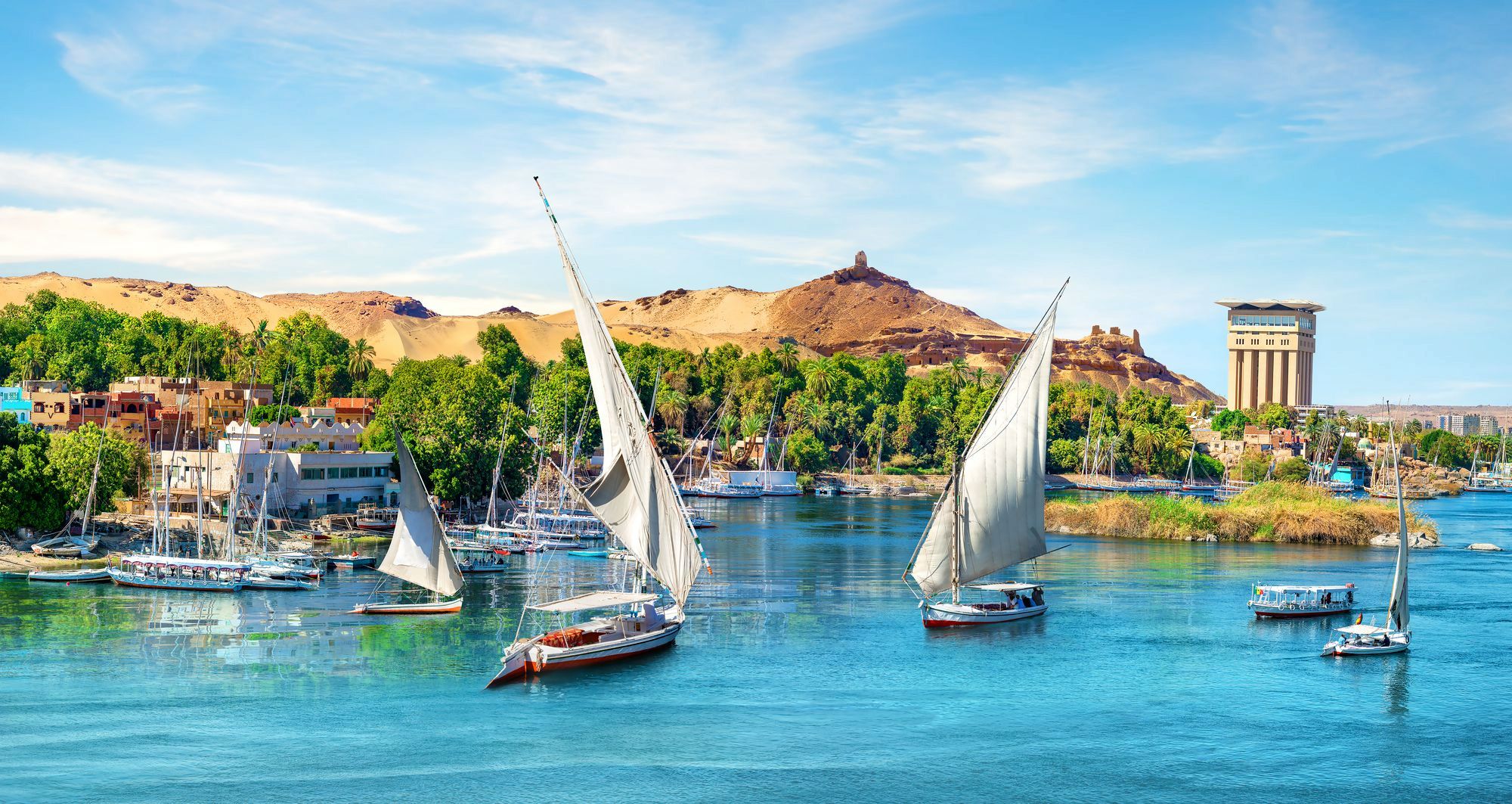 Kitchener’s Island Aswan: Botanical Garden Guide